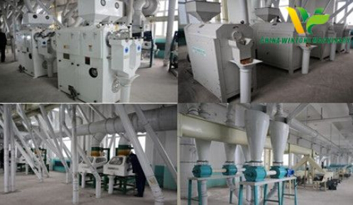 maize flour mill plant.jpg