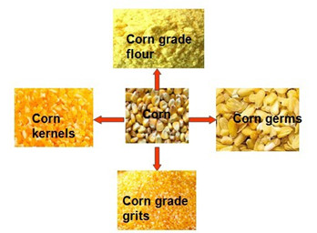 maize processing.jpg
