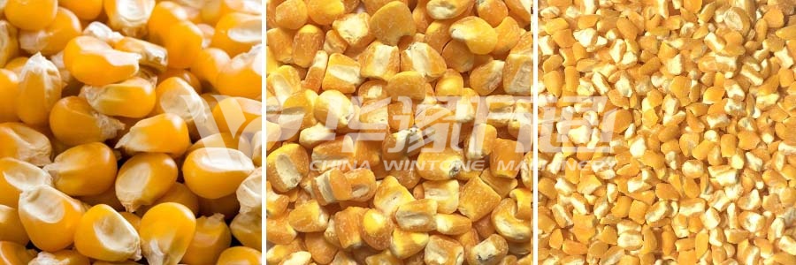 Finished Product of 100TPD Corn Kernel Processing Project