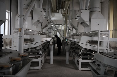 User Manual For Whole Grain Flour Mill Model 100 User Manual For Whole Grain Flour Mill Model 100