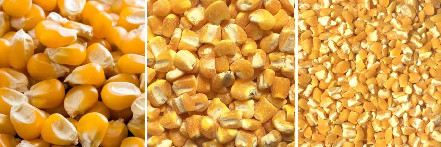 Finished Product of TTPD Series Corn Germ Extraction Machine